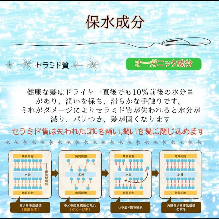 AJT特徴1
