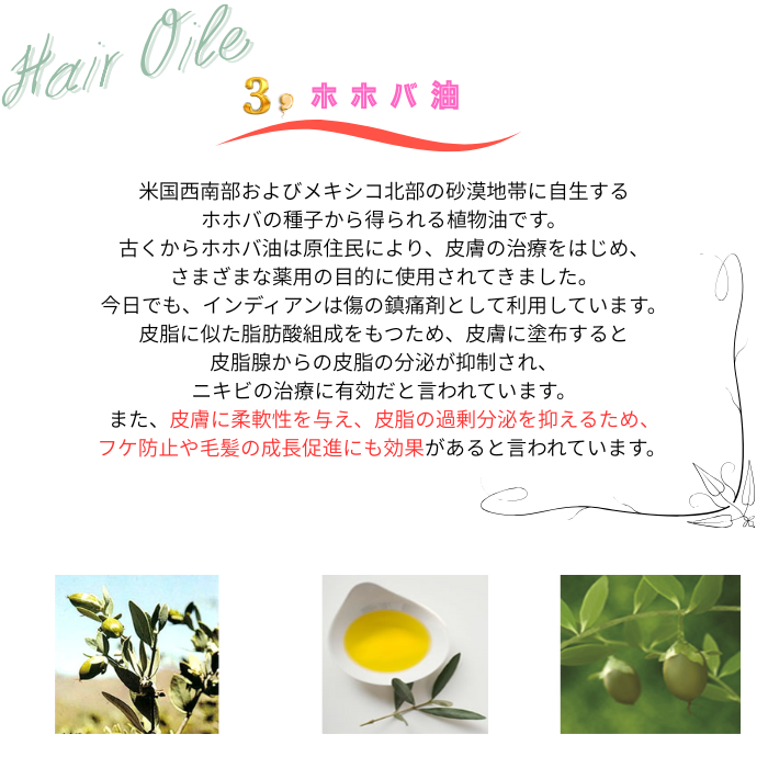 アンジュヘアオイル6