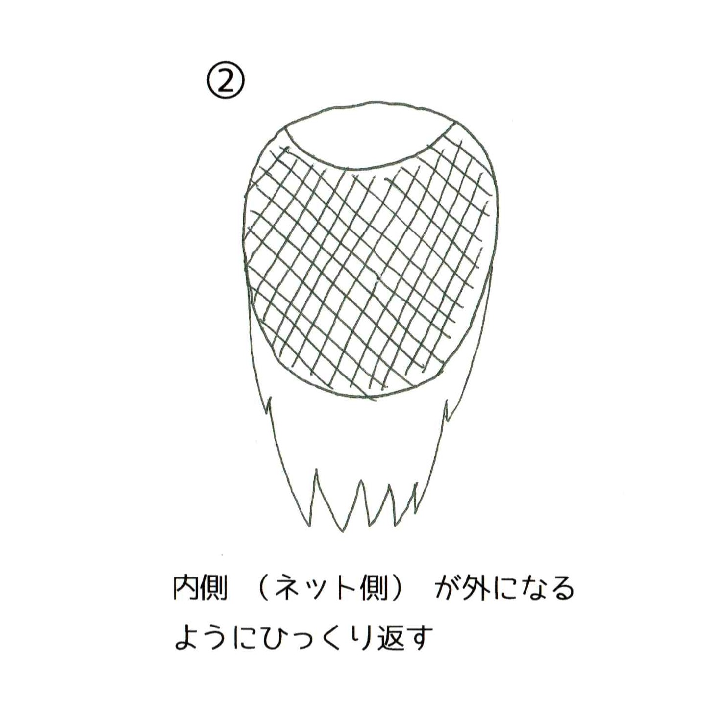 ドライネットの使い方2